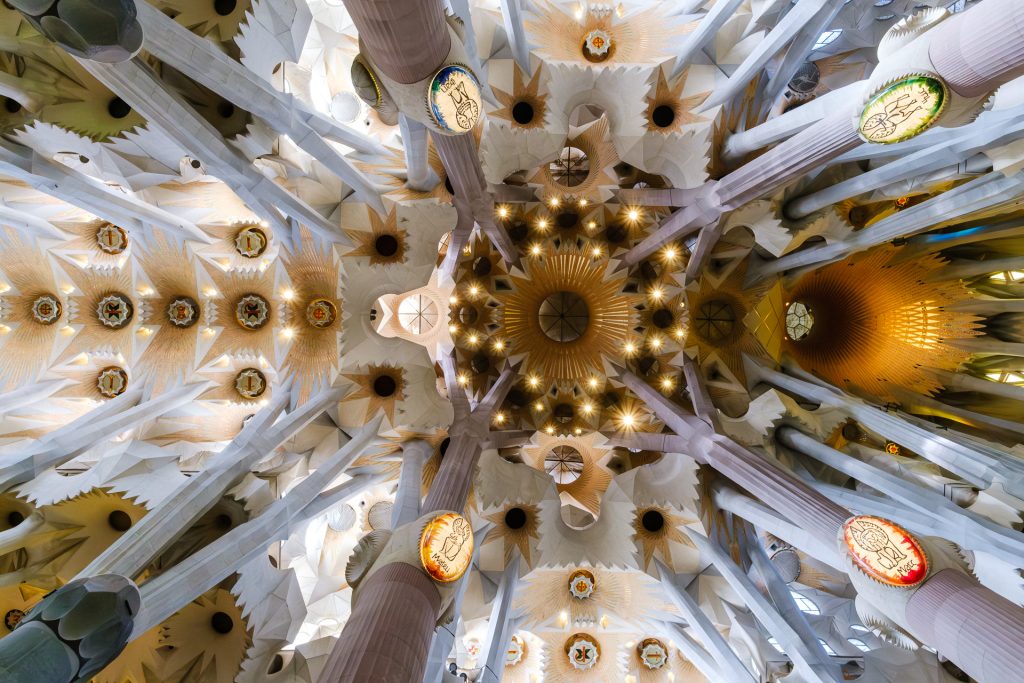 View of ceiling of La Sagrada Familia, columns branching towards the top.